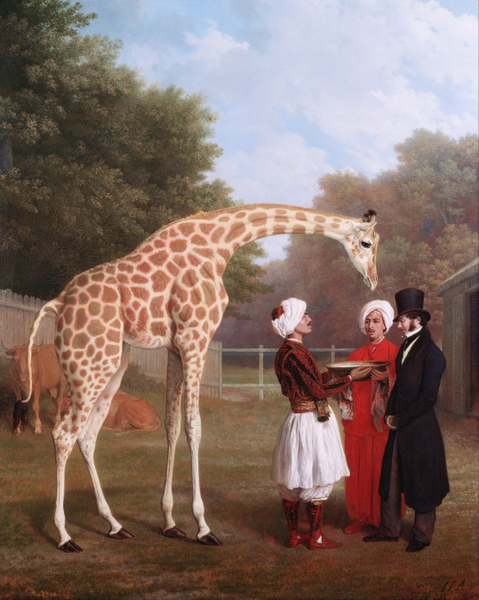 Jacques-Laurent Agasse - Nubian Giraffe