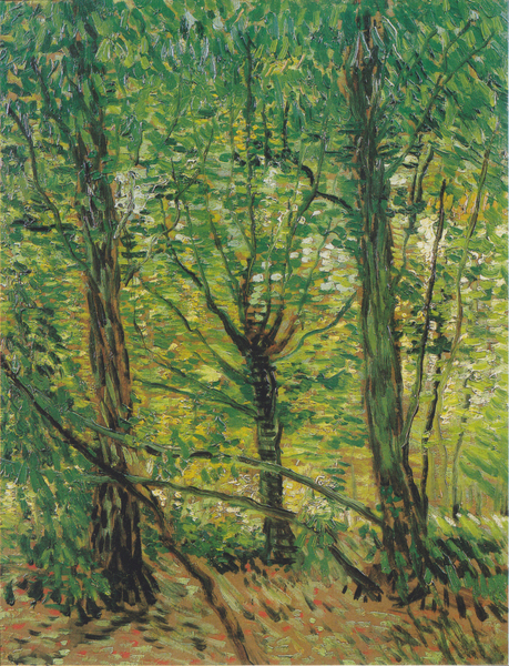 Vincent van Gogh - Bäume und Unterholz