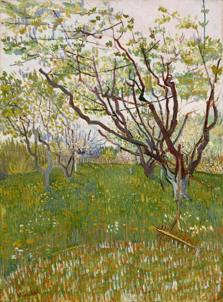 Vincent van Gogh - The flowering orchard