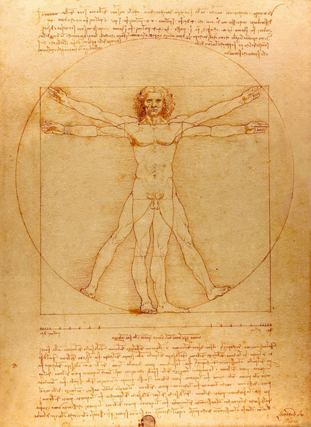 Leonardo da Vinci - Vitruve Luc Viatour