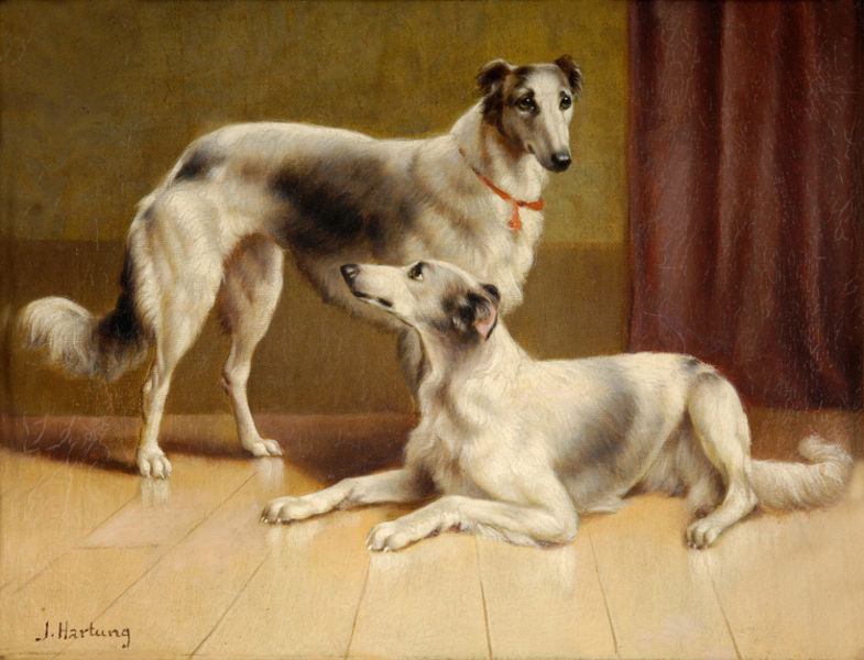 Carl Reichert - Persian Greyhounds