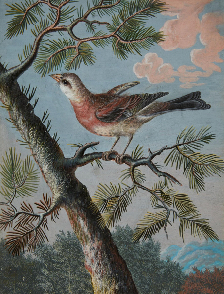 Christoph Ludwig Agricola - Singvogel auf einem Nadelbaum