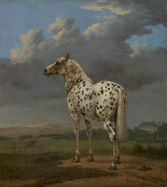 Paulus Potter - The Piebald  Horse