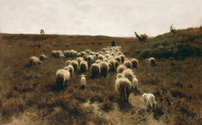 Anton Mauve - The Return of the Flock